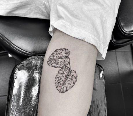 Monstera Tattoo