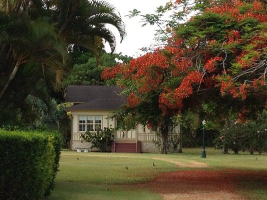 Experience Luxury Day Spa Treatments at an Affordable Price in a Private Hawaiian Cottage at the Kilohana Plantation Estate.