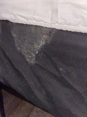 Mold on bedskirt