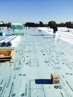 The Flat Roof Company