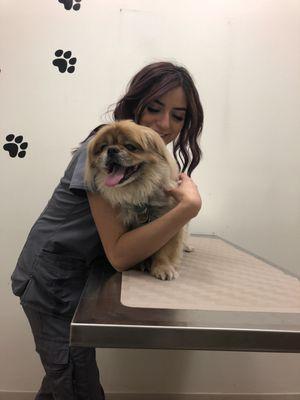 Lou looking happy and relaxed on the exam table. This never happens at other vets.