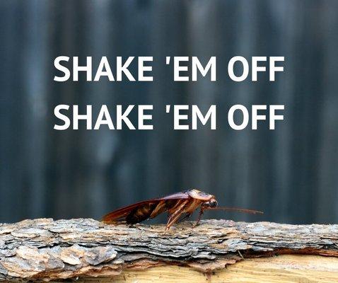 Shake those pests off of wood before bringing it in to burn!