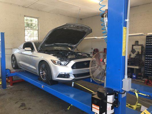 2015 Mustang on the Dyno