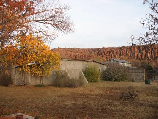 Autumn view from the back garden