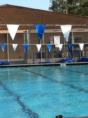 Kids swimming lesson