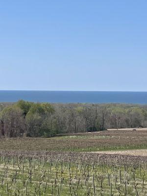 Outside Lake Erie,  was told on a clear day can see Canada