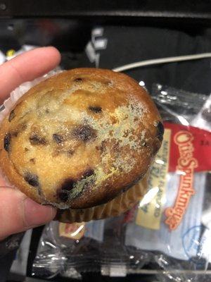 Moldy muffin