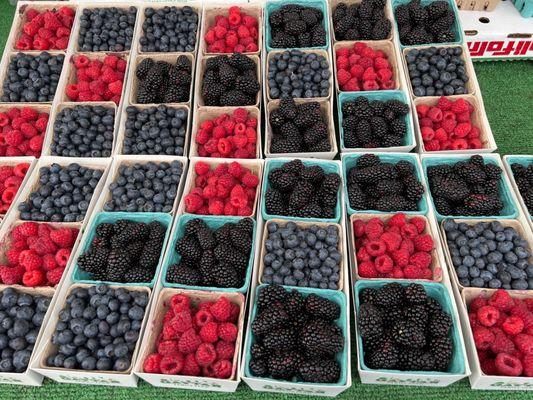 Beautiful Blueberries, Raspberries, and Blackberries