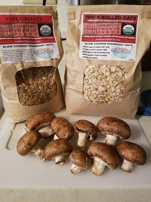 These are criminis which are a great versatile mushroom. The oats are all great too! Everything is high quality, organic, and delicious!