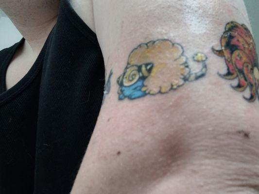 Awesome sleeping Mareep Pat's Radical Tats did!