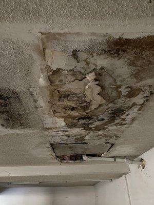 Growth in parking garage with popcorn ceiling .