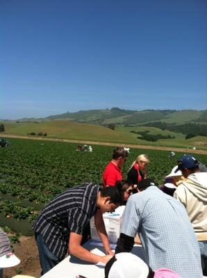 KBK Employees out in the field.