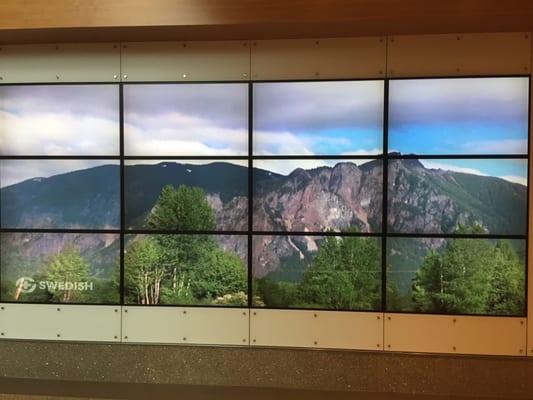 Fancy TV wall with images of local nature