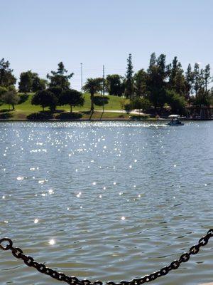 Looking out on the water.