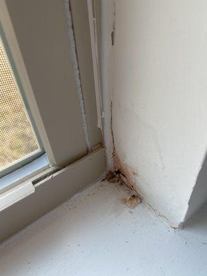 Leaking windows 3 months after moving in