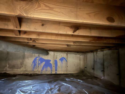 Milwaukee crawlspace mold mitigation