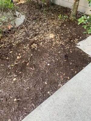 Pet feces right outside the door. It smells and looks wonderful. Makes you want to pay thousands to live here, right?