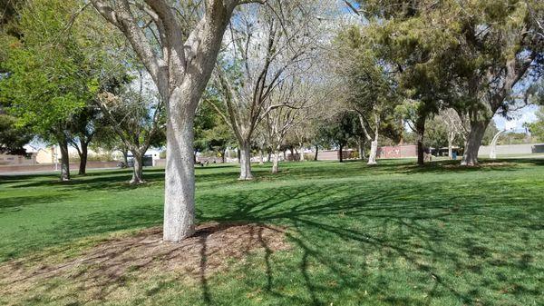 Since the park was established in 1987, the trees have matured and provide a canopy of shade.