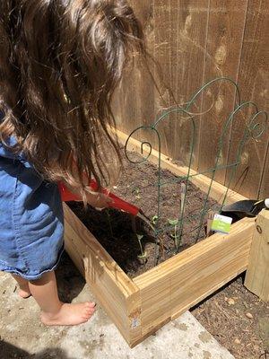 Little Friends Learn and Play Childcare