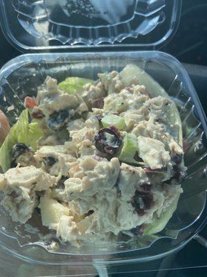 Waldorf Chicken Salad-yummy