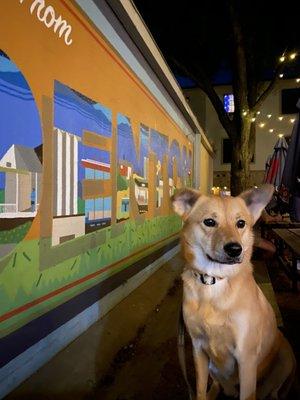 Dog friendly! And a cute mural :)