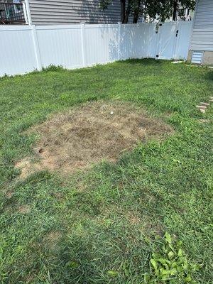 Killed grass with their debris they left until we fought to get money back for killing my sod