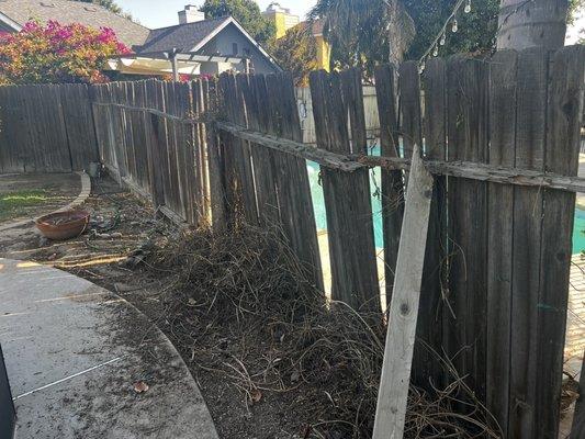 Rotted fence