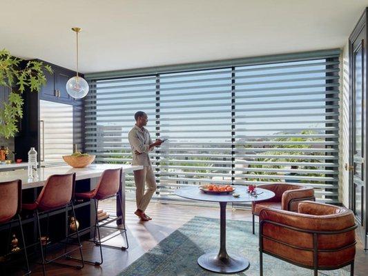 Hunter Douglas Pirouette® Window Shadings