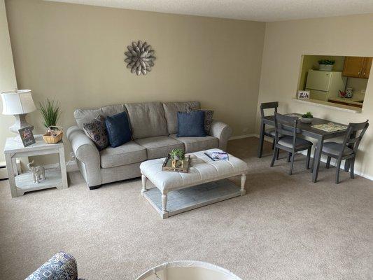 View of one bedroom living room (facing northbound).