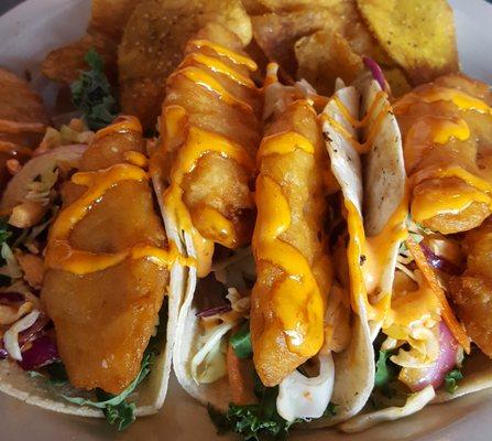 Fish tacos