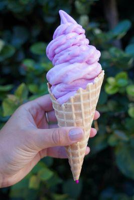 Blueberry real fruit ice cream.