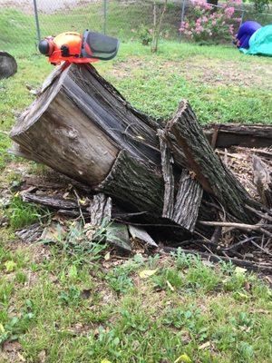 Starting the removal of a Storm Damaged Tree Trunk.