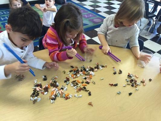 hands on math through manipulatives