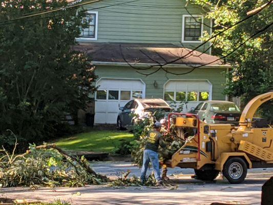 F&B Tree Service