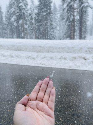 Feeling the fresh snow fall