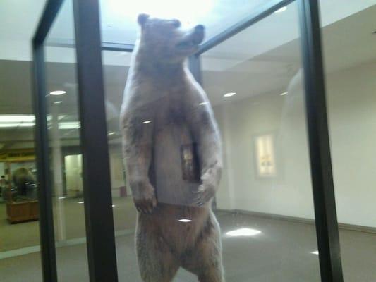 You know you're in alaska when theres weird stuffed wildlife in the middle of the mall