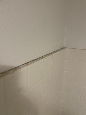 Dirty shower stalls