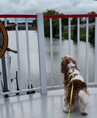 Jasper loved the trip as much as we did.