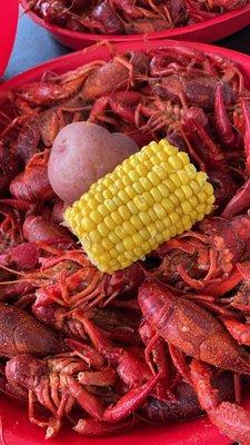 3lbs Boiled Crawfish medium spice.