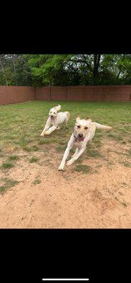 Lucy loves having fun with her furry friends as well as her teachers!