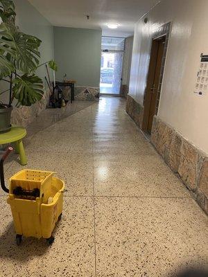 apartment entrance cleaning