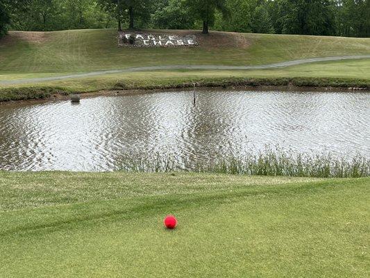 #12, 146 yard Par 3 from gold tees.