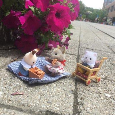 A calico critter family picnic on a beautiful day in Downtown Ithaca