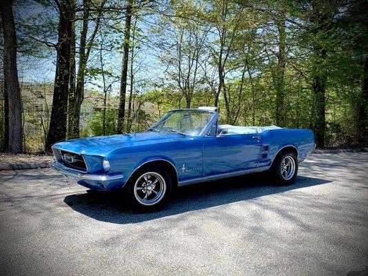 1967 Mustang was in for a full paint deep correction and full deep interior