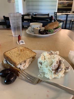 Half chicken salad sandwich with potato salad and grapes. The other sandwich is a ham and cheese croissant with broccoli cream soup.