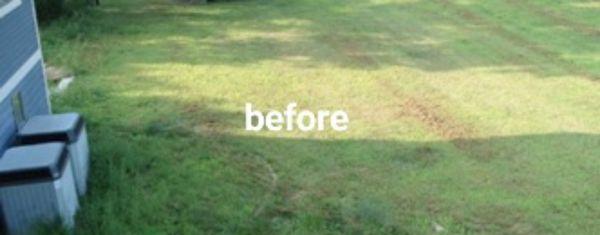 Before yard transformation