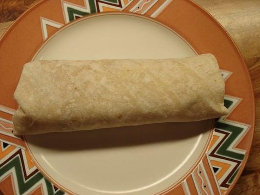 A burrito on a full sized plate