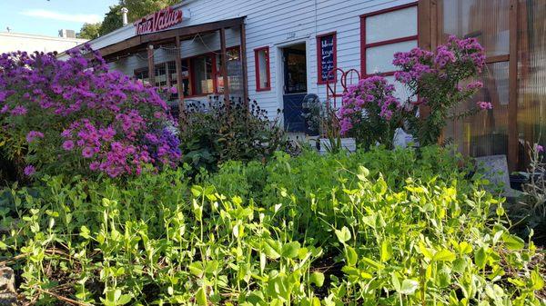 A view of our front door from the garden (Summertime)