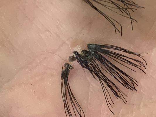 all of those little white hair on the top ARE MY REAL EYELASHES !!!