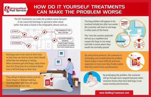 How DIY bed bug treatments can make the problem worse infographic.